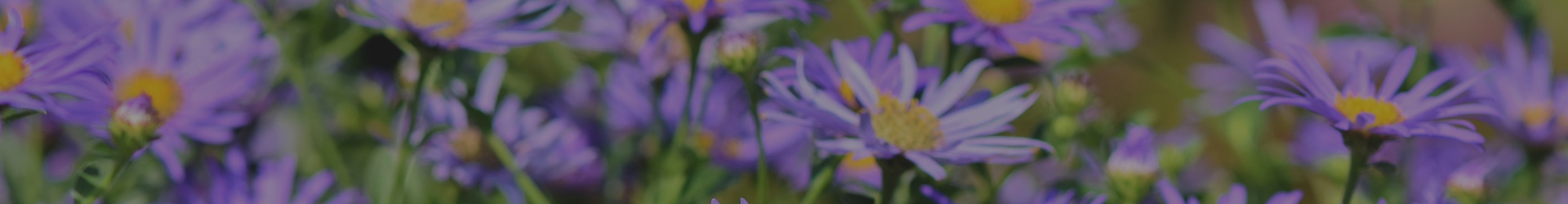 Cookridge Garden Club